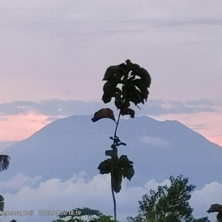 Villa Ume Tenang Nusa Penida Exteriör bild